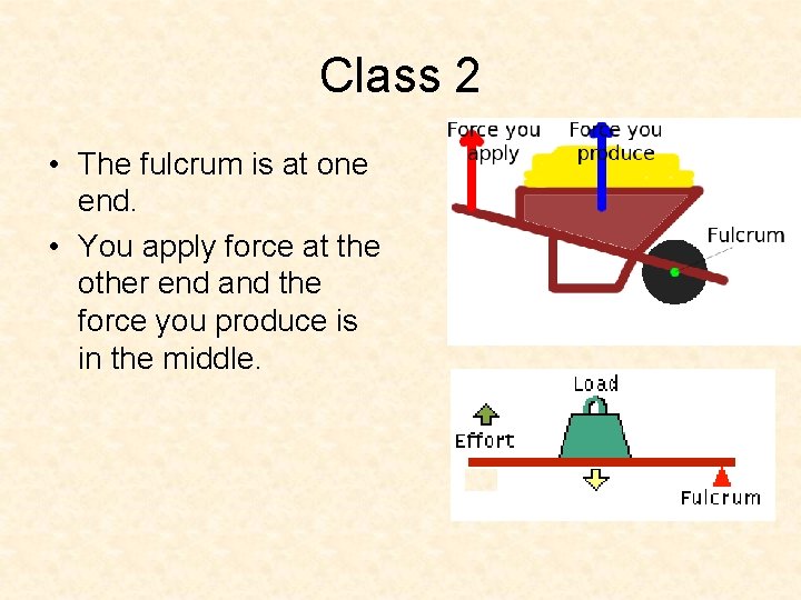 Class 2 • The fulcrum is at one end. • You apply force at Class 2 • The fulcrum is at one end. • You apply force at