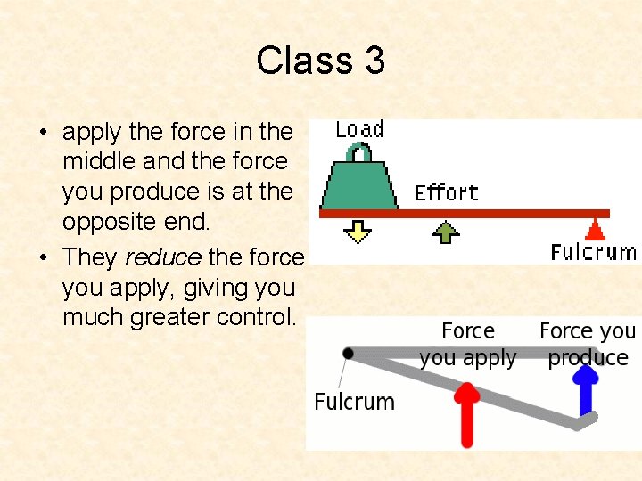 Class 3 • apply the force in the middle and the force you produce Class 3 • apply the force in the middle and the force you produce