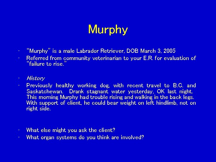 Murphy • • “Murphy” is a male Labrador Retriever, DOB March 3, 2005 Referred