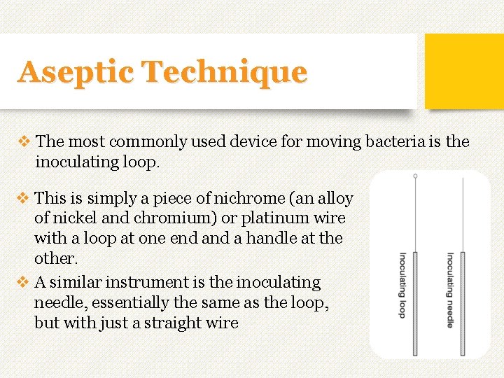 Aseptic Technique v The most commonly used device for moving bacteria is the inoculating