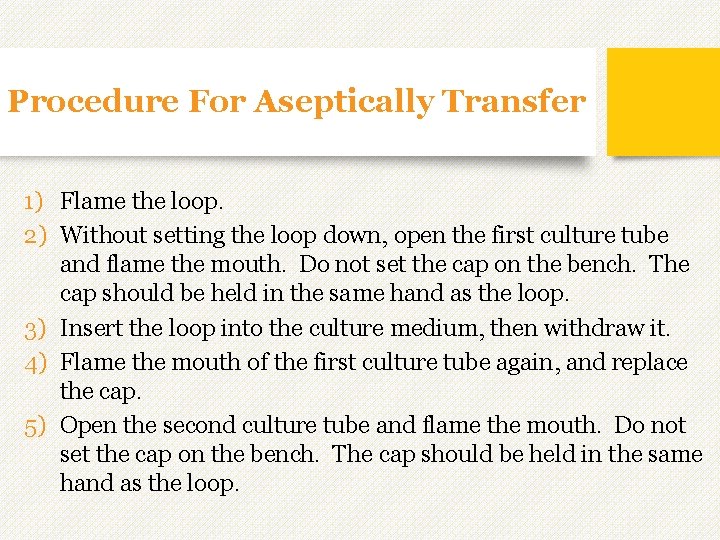 Procedure For Aseptically Transfer 1) Flame the loop. 2) Without setting the loop down,