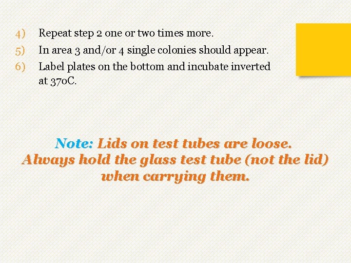 4) Repeat step 2 one or two times more. 5) In area 3 and/or