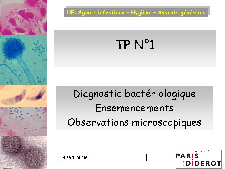 UE: Agents infectieux – Hygiène – Aspects généraux TP N° 1 Diagnostic bactériologique Ensemencements
