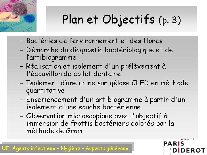Plan et Objectifs (p. 3) – Bactéries de l’environnement et des flores – Démarche