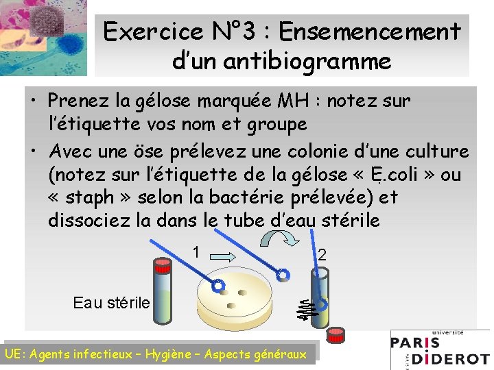 Exercice N° 3 : Ensemencement d’un antibiogramme • Prenez la gélose marquée MH :