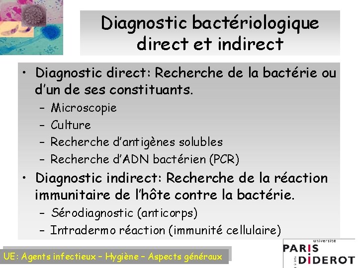 Diagnostic bactériologique direct et indirect • Diagnostic direct: Recherche de la bactérie ou d’un