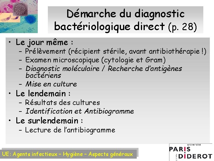 Démarche du diagnostic bactériologique direct (p. 28) • Le jour même : – Prélèvement