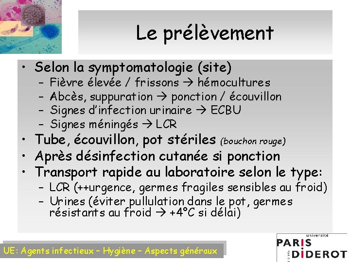 Le prélèvement • Selon la symptomatologie (site) – – Fièvre élevée / frissons hémocultures