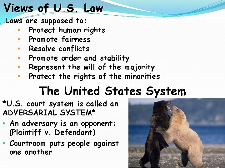 Views of U. S. Laws • • • are supposed to: Protect human rights