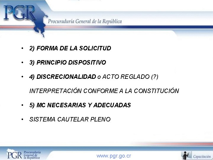  • 2) FORMA DE LA SOLICITUD • 3) PRINCIPIO DISPOSITIVO • 4) DISCRECIONALIDAD