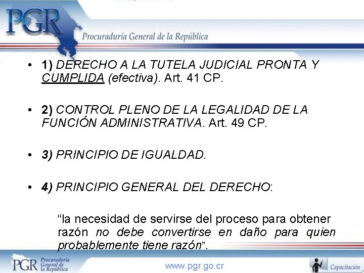  • 1) DERECHO A LA TUTELA JUDICIAL PRONTA Y CUMPLIDA (efectiva). Art. 41