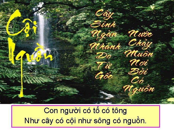 Con người có tổ có tông Như cây có cội như sông có nguồn.