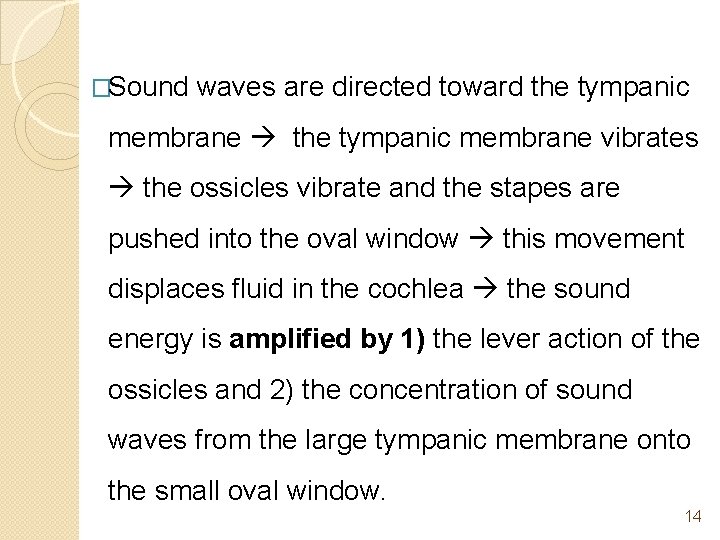 �Sound waves are directed toward the tympanic membrane vibrates the ossicles vibrate and the