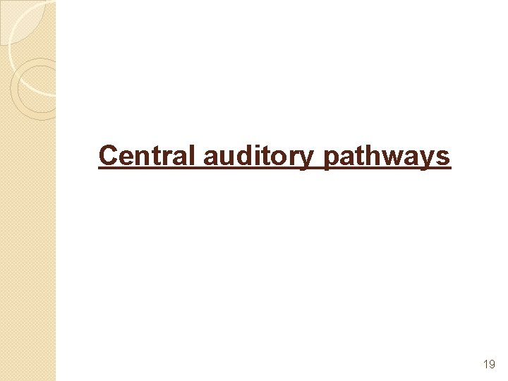 Central auditory pathways 19 
