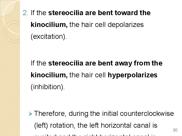 2. If the stereocilia are bent toward the kinocilium, the hair cell depolarizes (excitation).