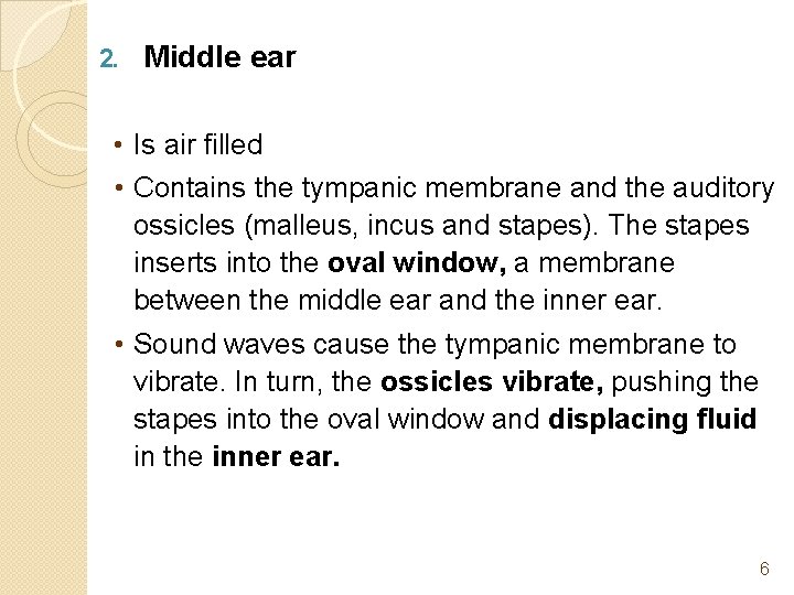2. Middle ear • Is air filled • Contains the tympanic membrane and the