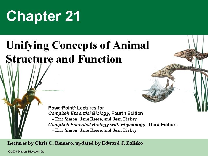 Chapter 21 Unifying Concepts of Animal Structure and Function Power. Point® Lectures for Campbell