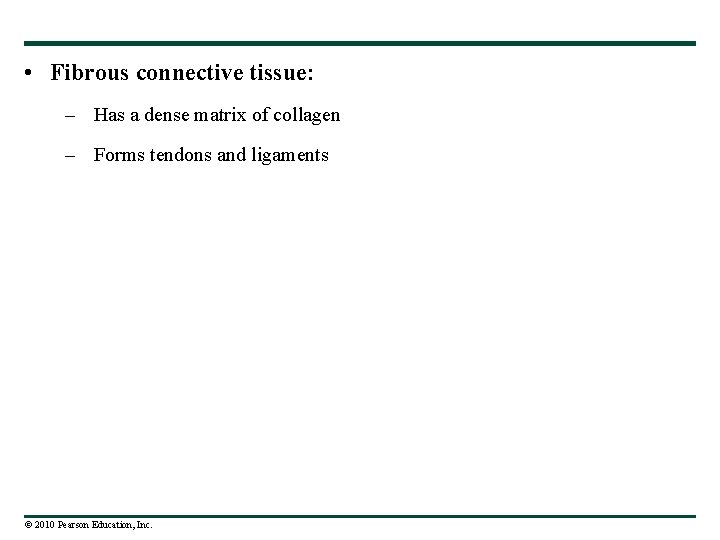  • Fibrous connective tissue: – Has a dense matrix of collagen – Forms