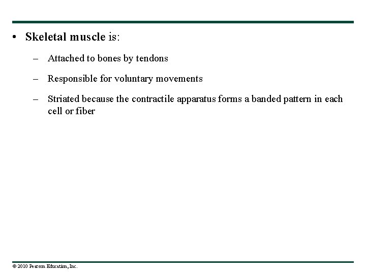  • Skeletal muscle is: – Attached to bones by tendons – Responsible for