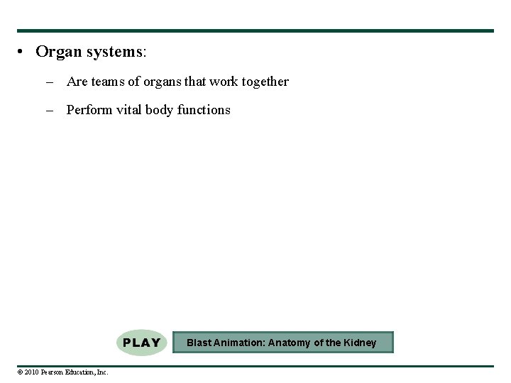  • Organ systems: – Are teams of organs that work together – Perform