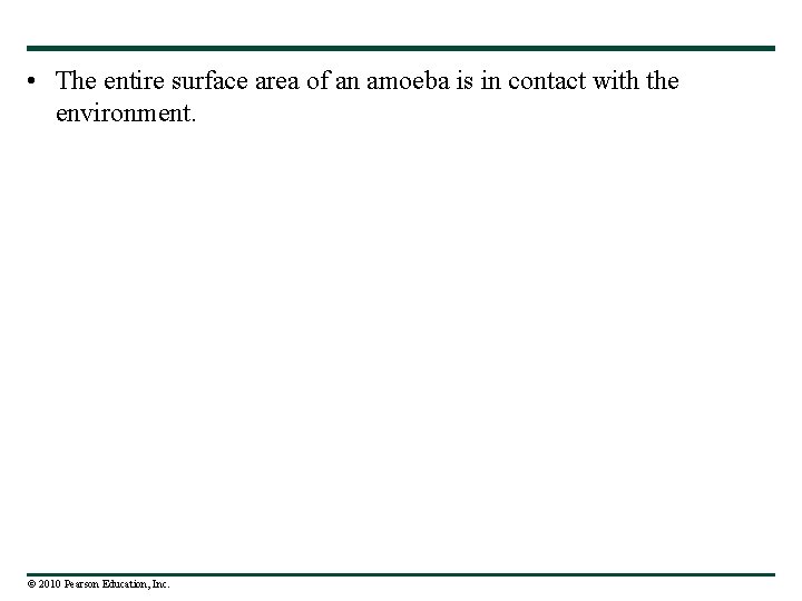  • The entire surface area of an amoeba is in contact with the