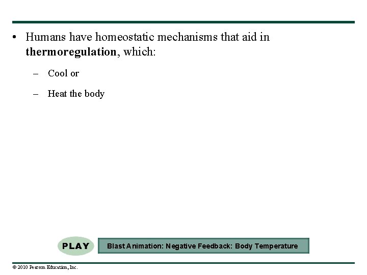  • Humans have homeostatic mechanisms that aid in thermoregulation, which: – Cool or