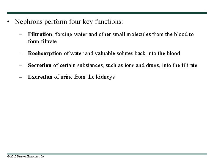  • Nephrons perform four key functions: – Filtration, forcing water and other small