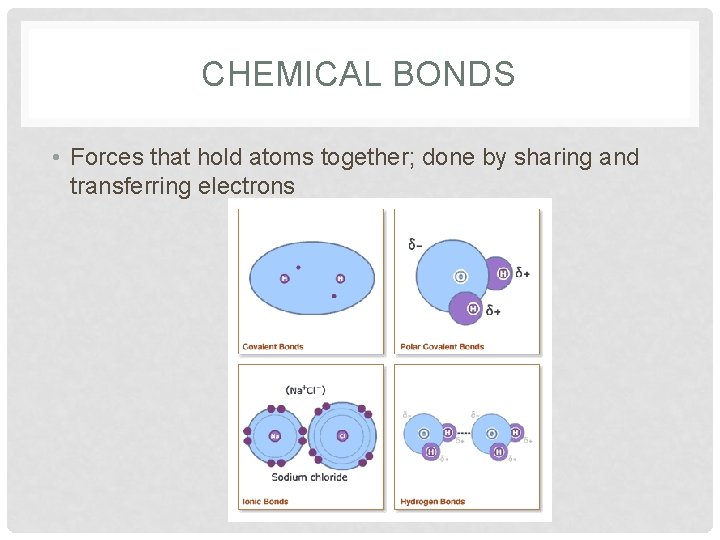 CHEMICAL BONDS • Forces that hold atoms together; done by sharing and transferring electrons