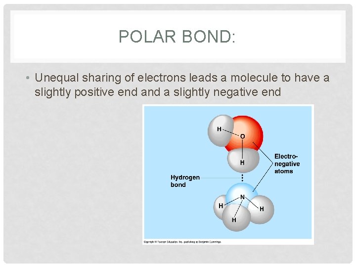 POLAR BOND: • Unequal sharing of electrons leads a molecule to have a slightly