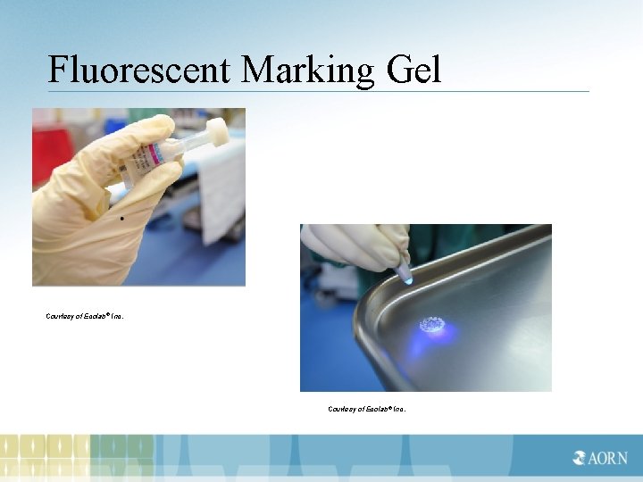 Fluorescent Marking Gel Courtesy of Ecolab ® Inc. 