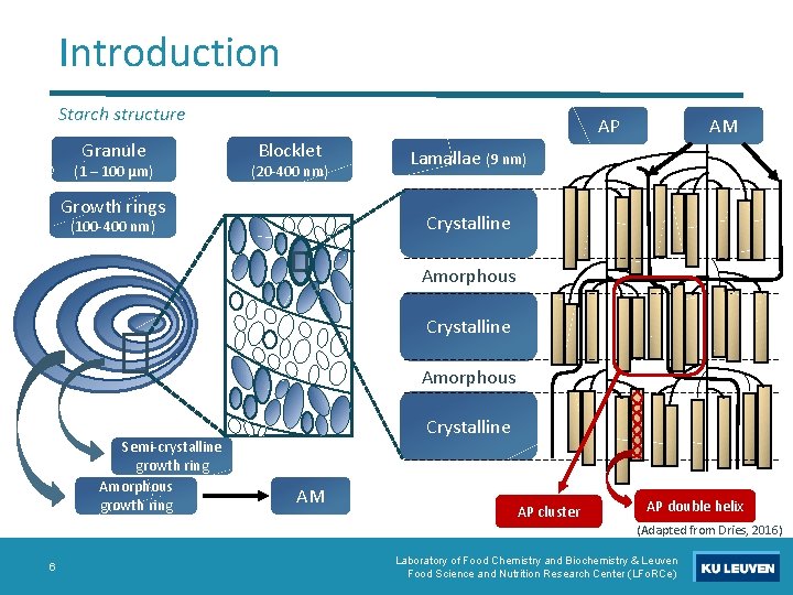 Introduction Starch structure Granule (1 – 100 µm) AP Blocklet (20 -400 nm) Growth