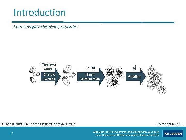 Introduction Starch physicochemical properties T (excess) water Granule swelling T = temperature; Tm =