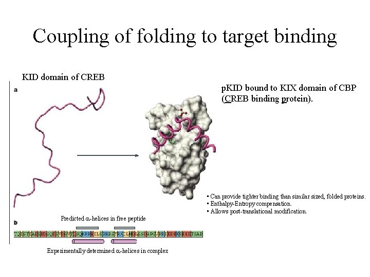 Coupling of folding to target binding KID domain of CREB p. KID bound to