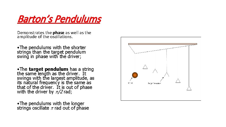 Barton’s Pendulums Demonstrates the phase as well as the amplitude of the oscillations. •