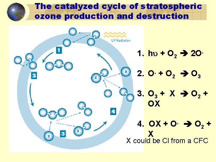 The catalyzed cycle of stratospheric ozone production and destruction 1. h + O 2