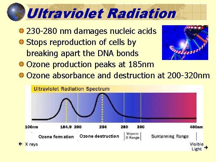 Ultraviolet Radiation 230 -280 nm damages nucleic acids Stops reproduction of cells by breaking