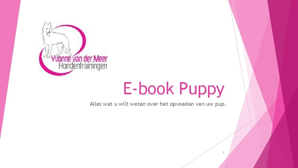 E-book Puppy Alles wat u wilt weten over het opvoeden van uw pup. 1
