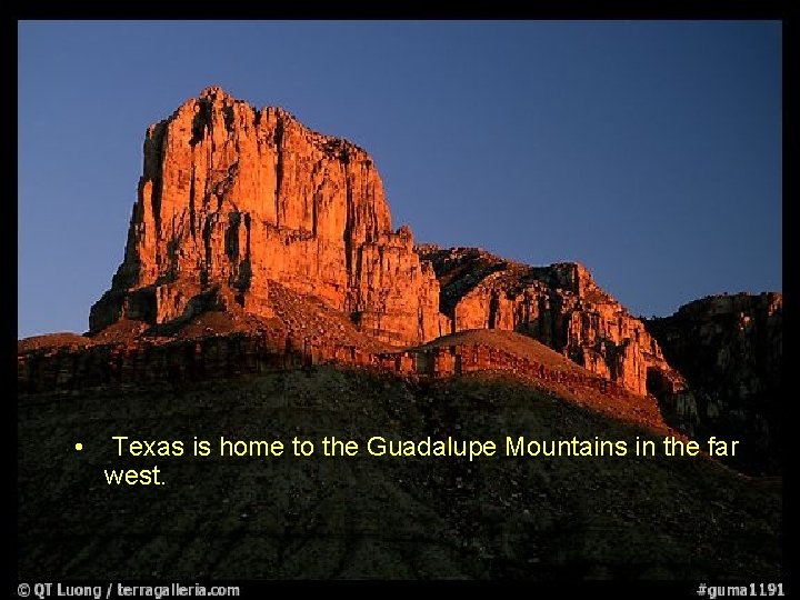  • Texas is home to the Guadalupe Mountains in the far west. 