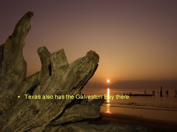  • Texas also has the Galveston Bay there. 