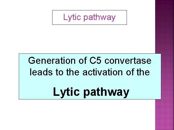 Lytic pathway Generation of C 5 convertase leads to the activation of the Lytic