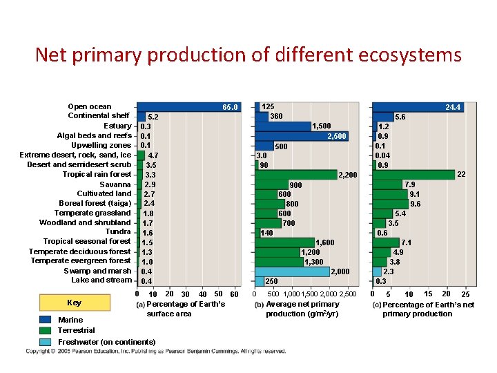 Net primary production of different ecosystems Open ocean Continental shelf Estuary Algal beds and