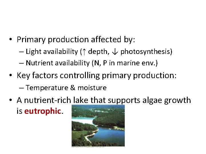  • Primary production affected by: – Light availability (↑ depth, ↓ photosynthesis) –