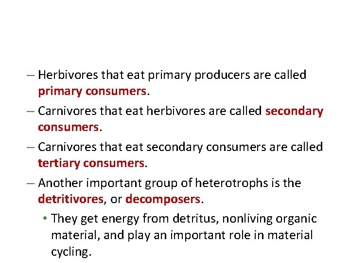 – Herbivores that eat primary producers are called primary consumers. – Carnivores that eat