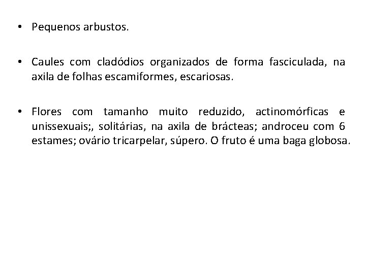  • Pequenos arbustos. • Caules com cladódios organizados de forma fasciculada, na axila