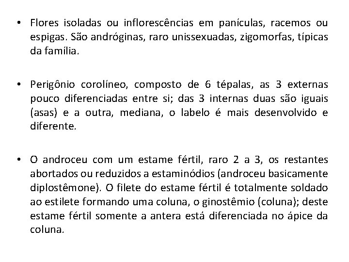  • Flores isoladas ou inflorescências em panículas, racemos ou espigas. São andróginas, raro