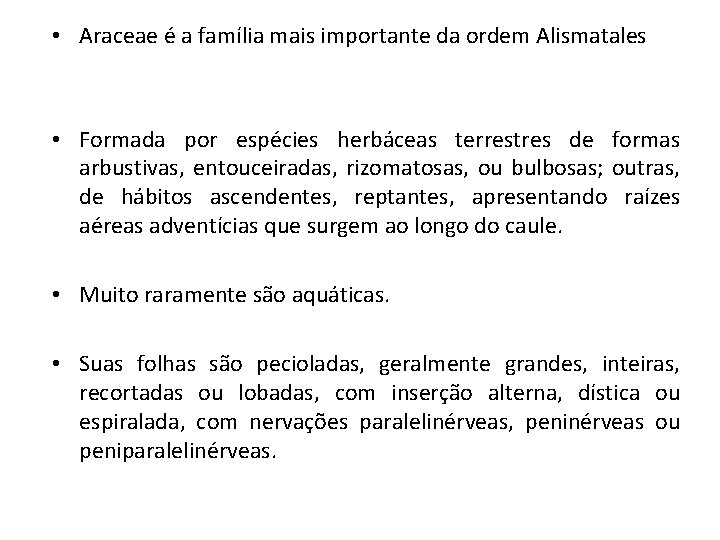  • Araceae é a família mais importante da ordem Alismatales • Formada por