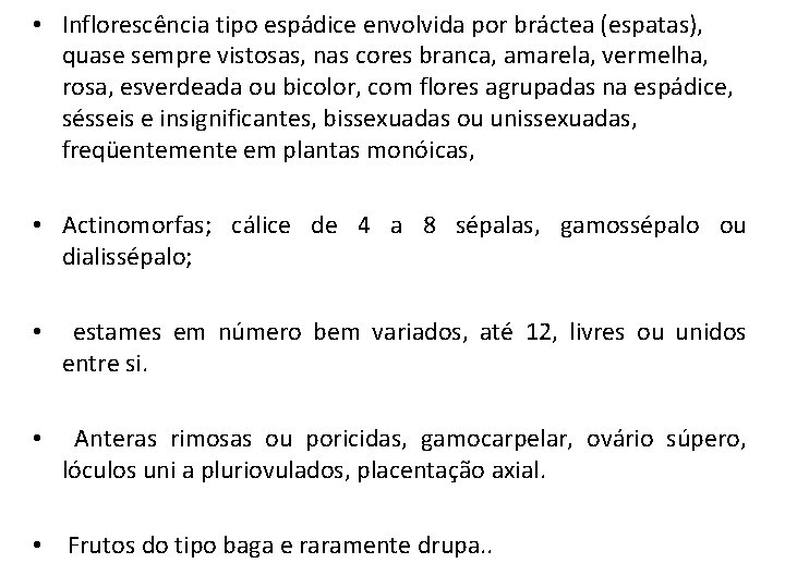  • Inflorescência tipo espádice envolvida por bráctea (espatas), quase sempre vistosas, nas cores