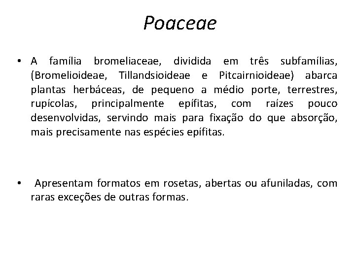 Poaceae • A família bromeliaceae, dividida em três subfamílias, (Bromelioideae, Tillandsioideae e Pitcairnioideae) abarca