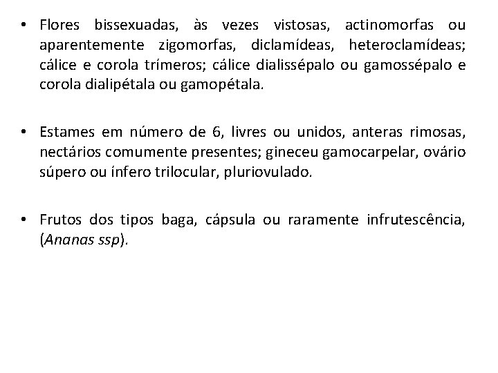  • Flores bissexuadas, às vezes vistosas, actinomorfas ou aparentemente zigomorfas, diclamídeas, heteroclamídeas; cálice