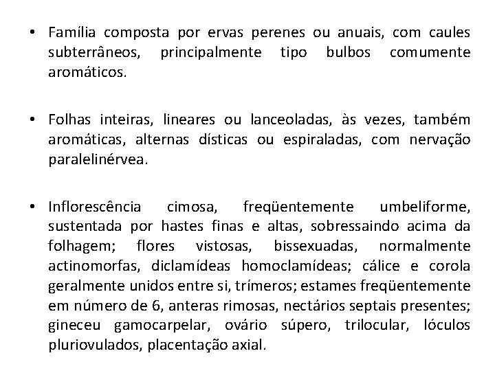  • Família composta por ervas perenes ou anuais, com caules subterrâneos, principalmente tipo